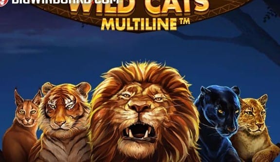 Wild Cats Multiline